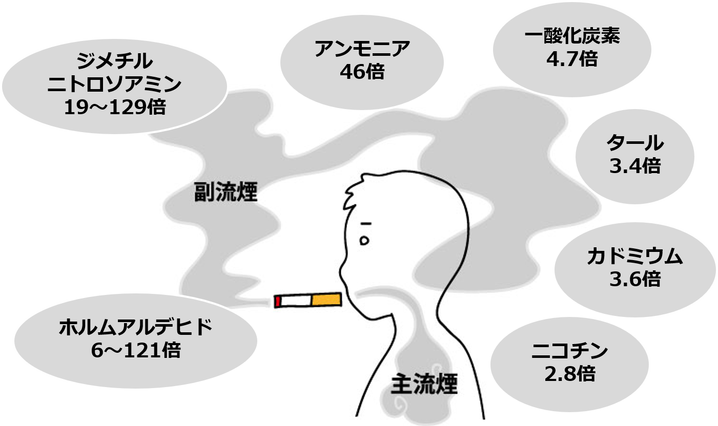 喫煙のリスク 小平市の湯川医院 内科 小児科 アレルギー科 リウマチ 膠原病